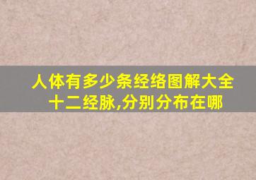 人体有多少条经络图解大全 十二经脉,分别分布在哪